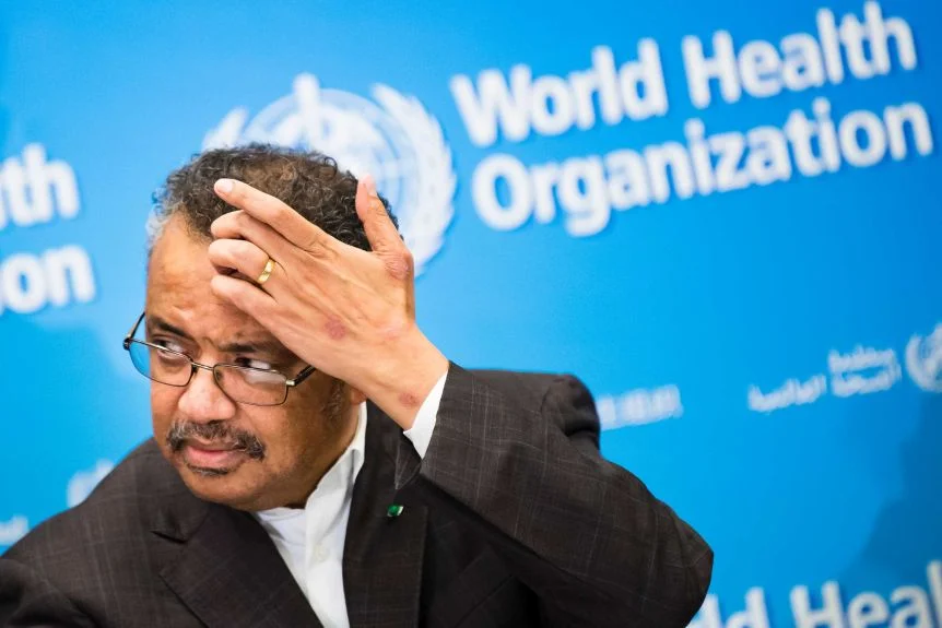 What is the WHO?