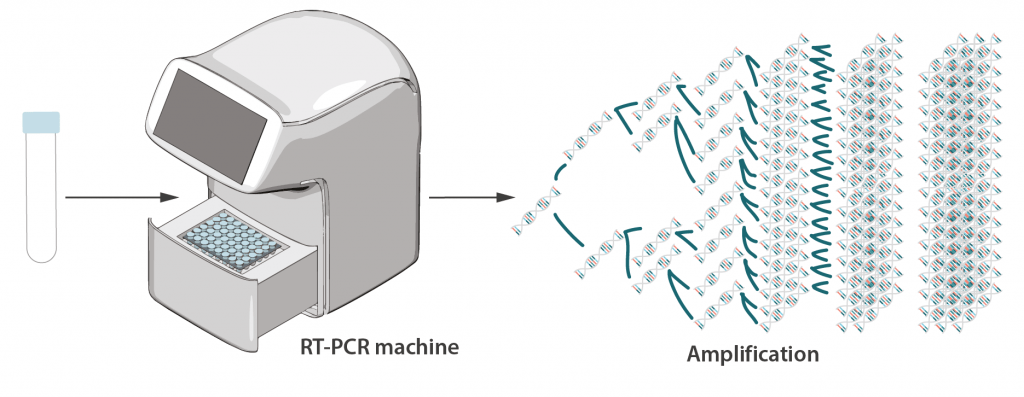 RTPCR test to detect SARS-CoV-2 reveals 10 major scientific flaws